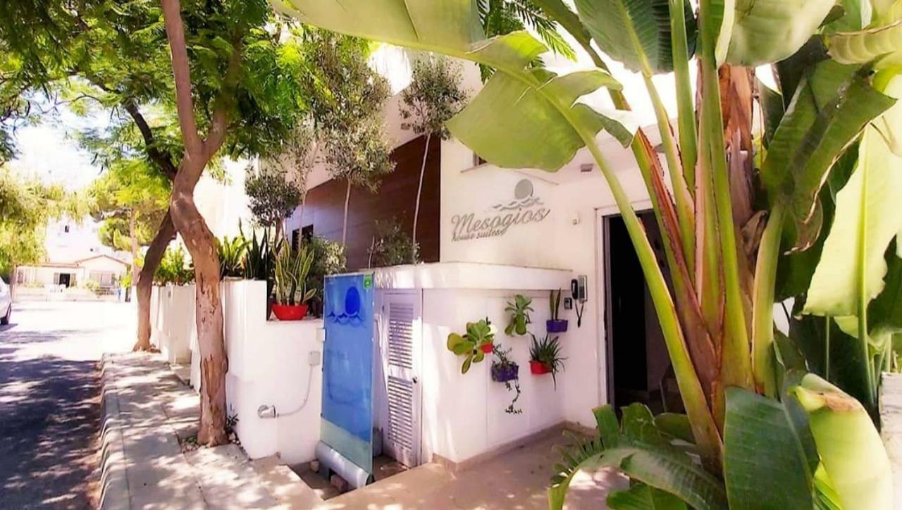 Mesogios House Διαμέρισμα